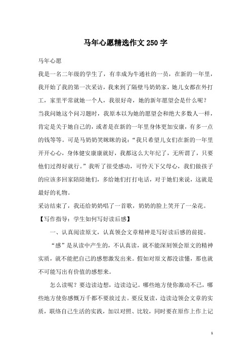 马年心愿精选作文250字