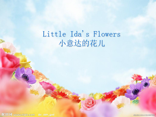 小意达的花儿ppt课件