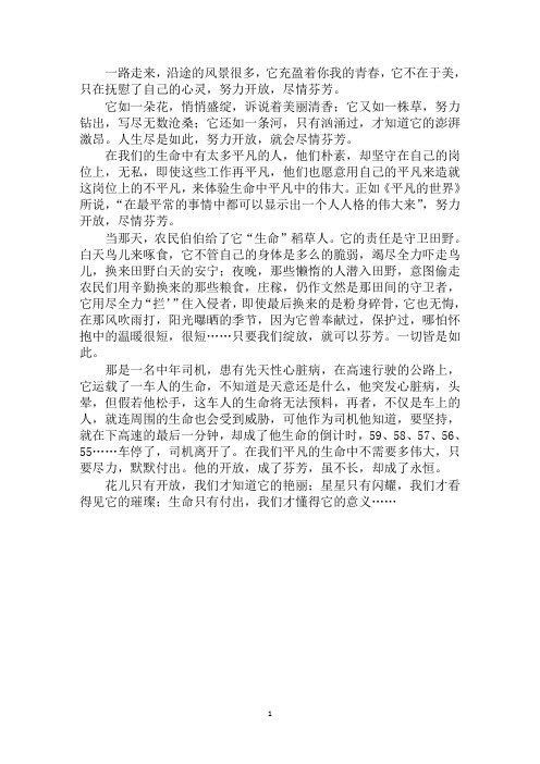 最新一路开放,一路芬芳作文