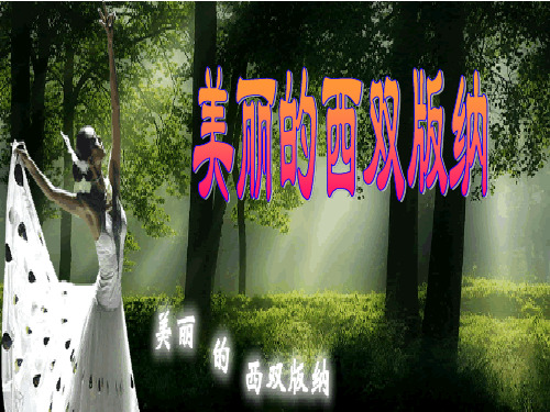 《美丽的西双版纳》课件(苏教版八上)  公开课一等奖课件