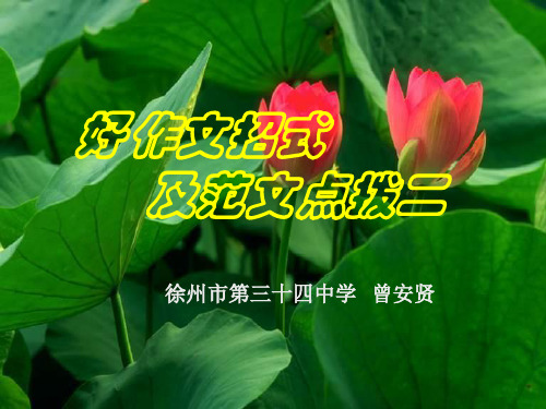 初中作文指导：好作文招式及范文点拨二ppt