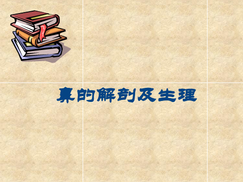 鼻的解剖和生理