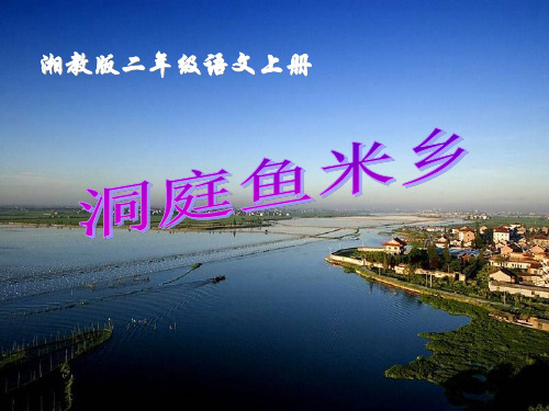 《洞庭鱼米乡》PPT课件2