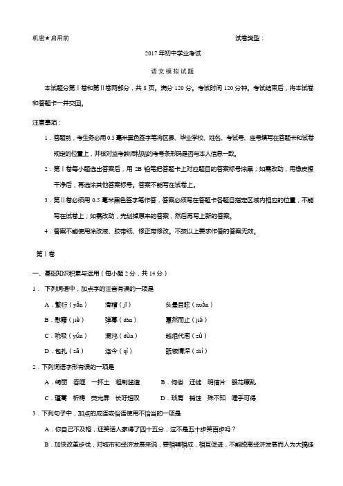 山东省淄博市周村区2017届中考一模语文试卷(有答案)