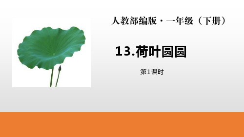 《荷叶圆圆》PPTPPT_精选推荐(第2课时)