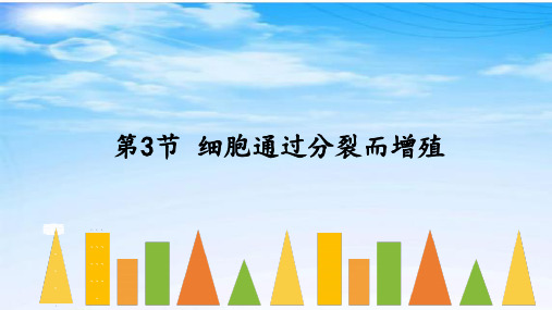 北师大版生物七上3.3《细胞通过分裂而增殖》课件(共28张PPT)