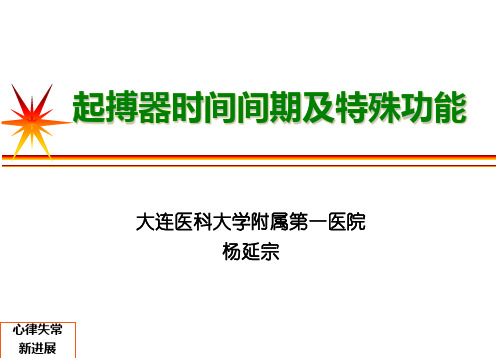 杨延宗-起搏器时间间期及特殊功能