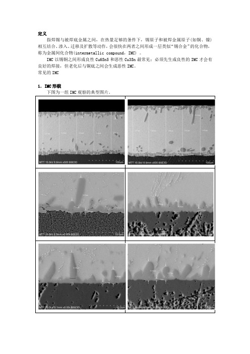IMC生长特征