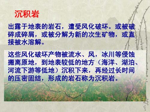 2 沉积岩-3