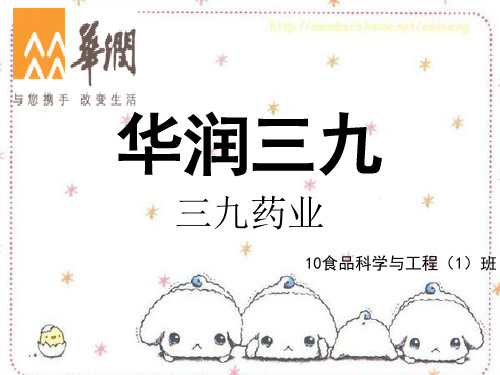 华润三九介绍