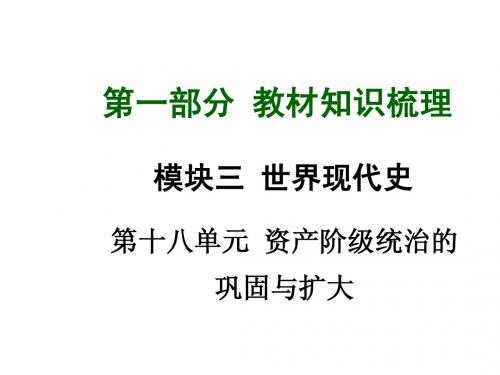 第十八单元+资产阶级统治的巩固与扩大(共38张PPT)