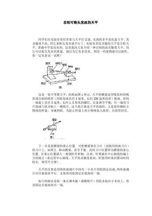 自制可称头发丝的天平