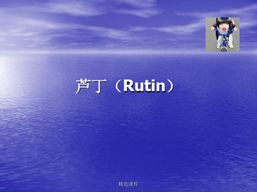 芦丁Ruin