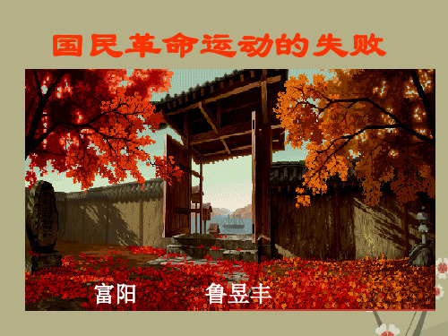第六章 第四节 国民革命运动的失败 人教版