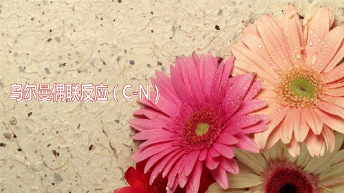 乌尔曼偶联反应(C-N)