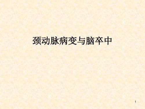 颈动脉病与脑卒中医学PPT课件