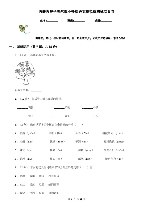 内蒙古呼伦贝尔市小升初语文模拟检测试卷B卷