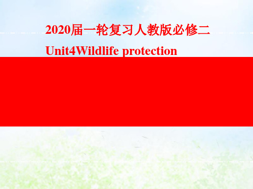 2020届高中英语一轮复习人教版必修二 Unit4Wildlife protection课件(61张)