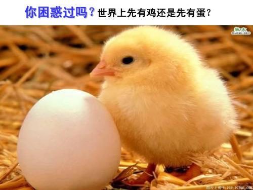 7.1 现代生物进化理论的由来公开课