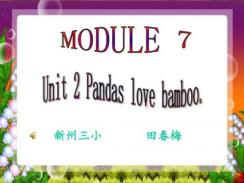 Pandas_love_bamboo课件