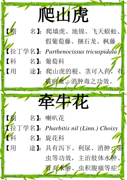 最新植物校园挂牌