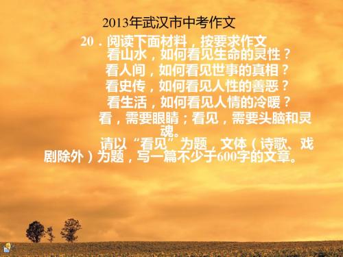 2013年武汉市中考作文