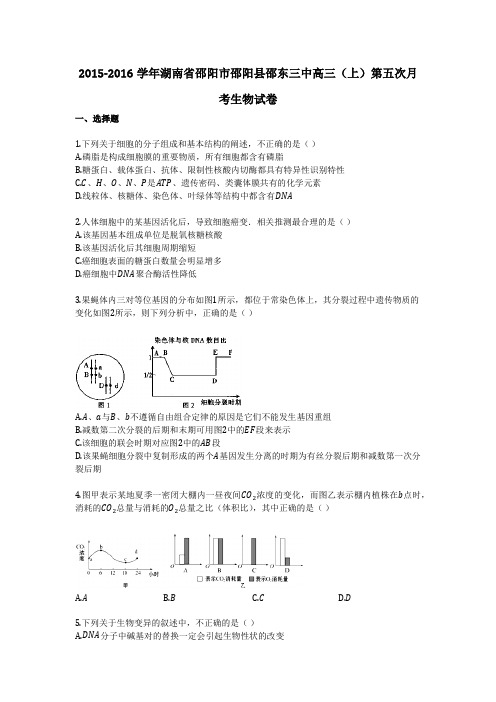 2015-2016学年湖南省邵阳市邵阳县邵东三中高三(上)第五次月考生物试卷