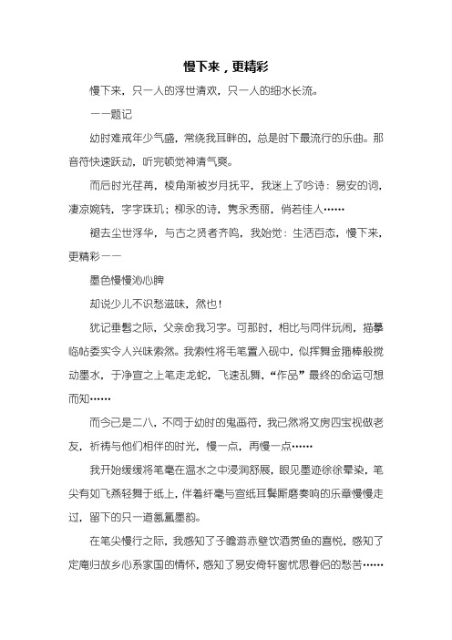 初三作文：慢下来,更精彩作文800字