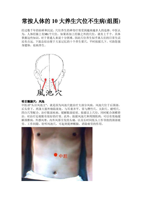 常按人体的10大养生穴位不生病(组图)