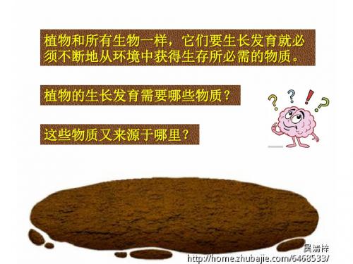 北师大版七年级生物上册： 光合作用一