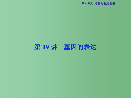 高考生物总复习 第6单元 第19讲 基因的表达课件