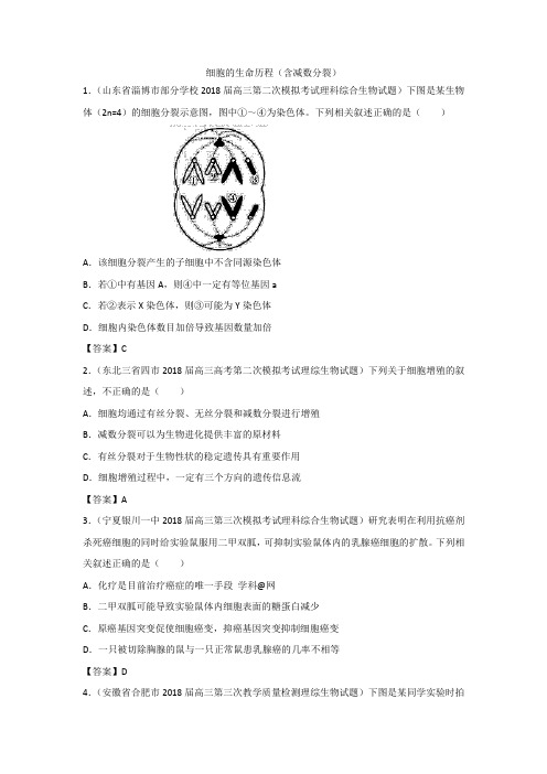 2019年高考生物专题练习卷细胞的生命历程(含减数分裂)有答案