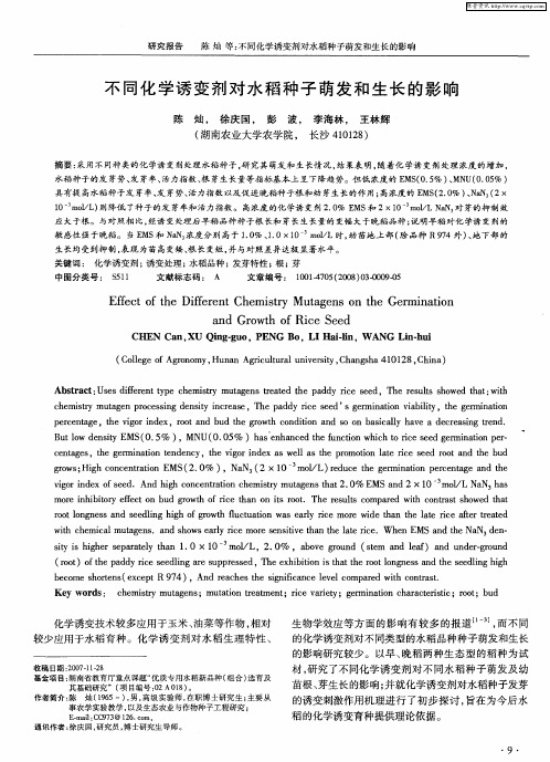 不同化学诱变剂对水稻种子萌发和生长的影响