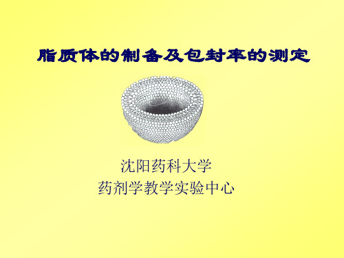 实验10脂质体的制备