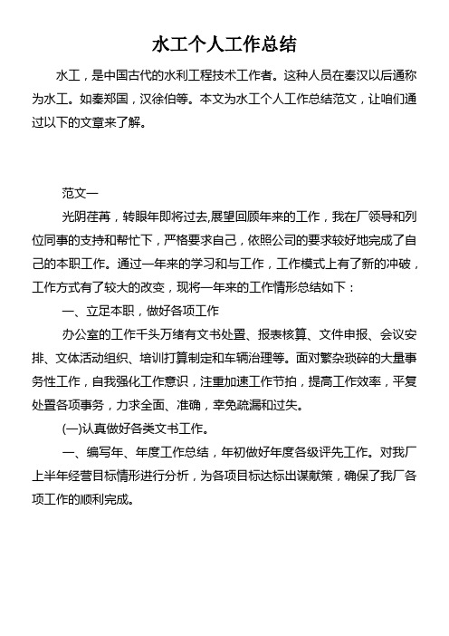 水工个人工作总结