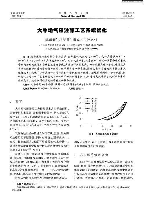 大牛地气田注醇工艺系统优化
