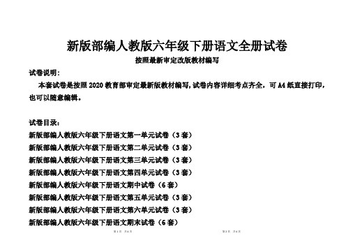 新人教版六年级下册语文全册试卷3套(最新修订统考卷)