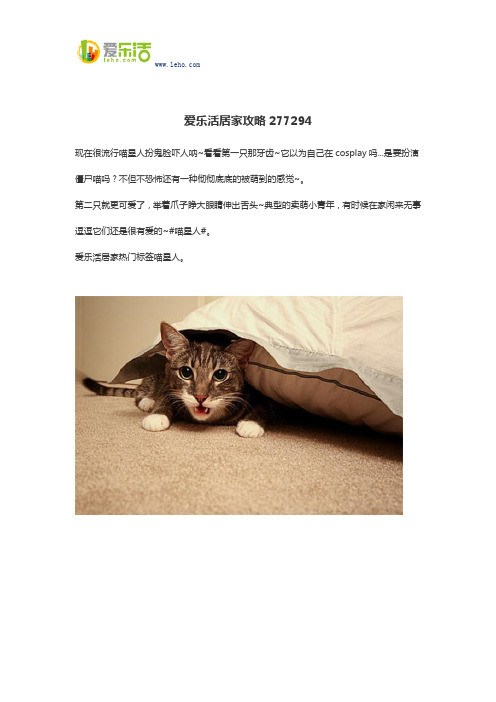 爱乐活居家攻略277294