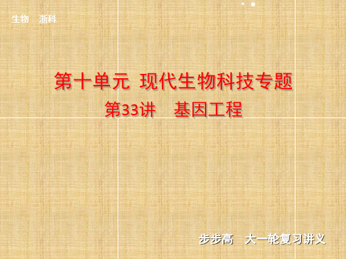 【步步高】高考生物一轮复习 第十单元 第33讲 基因工程名师精编课件 浙科版 