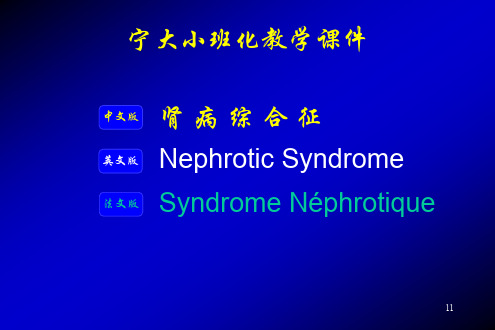 肾病综合征ppt课件