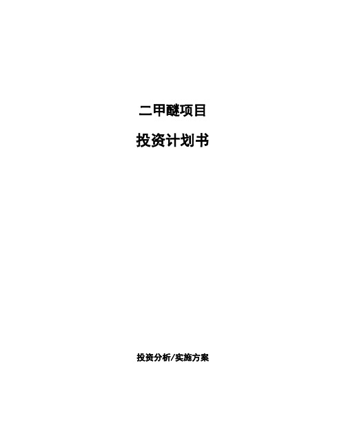 二甲醚项目投资计划书
