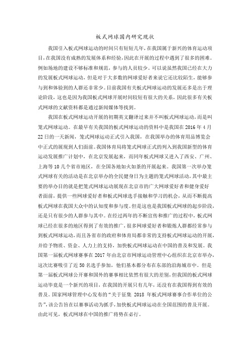板式网球国内研究现状