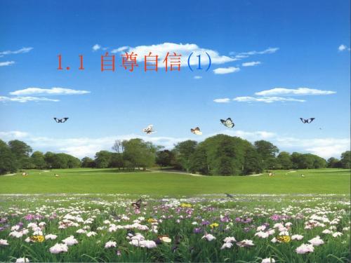 自尊自信ppt优秀课件6 苏教版