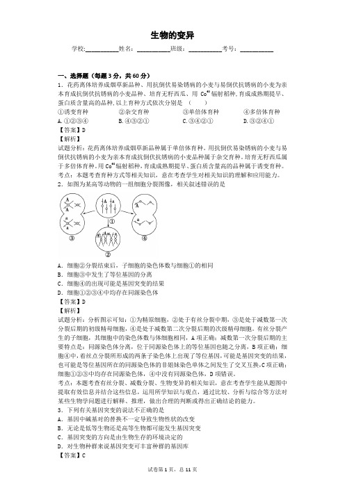 浙科版 生物的变异 单元测试
