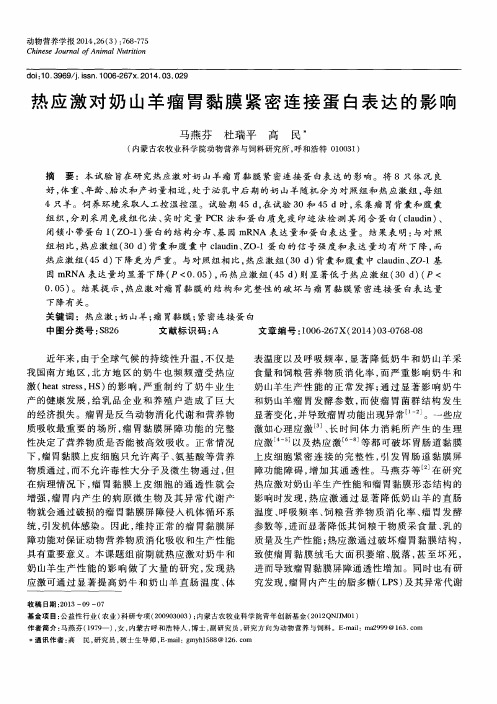 热应激对奶山羊瘤胃黏膜紧密连接蛋白表达的影响