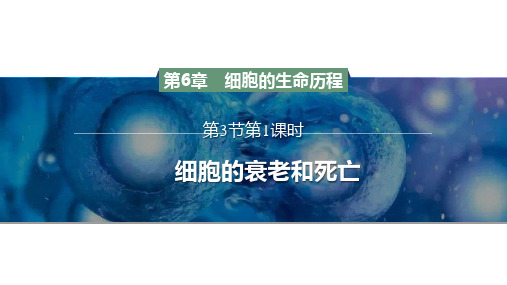 6.3细胞的衰老和死亡课件高一上学期生物人教版必修(1)_(1)