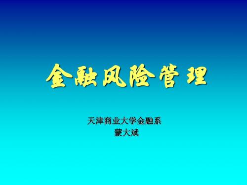 第一章 金融风险管理概述(全)