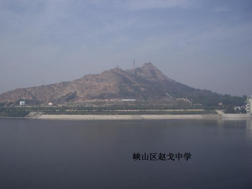 麦兜  阅读教学
