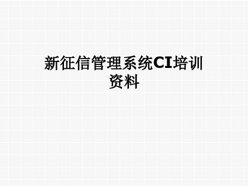 新征信管理系统CI培训资料