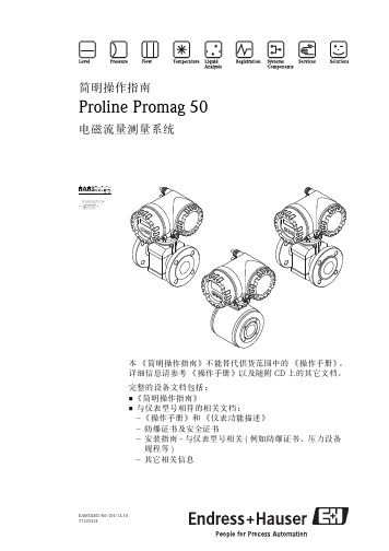E+H 电磁流量测量系统Proline Promag 50简明操作指南-中文版